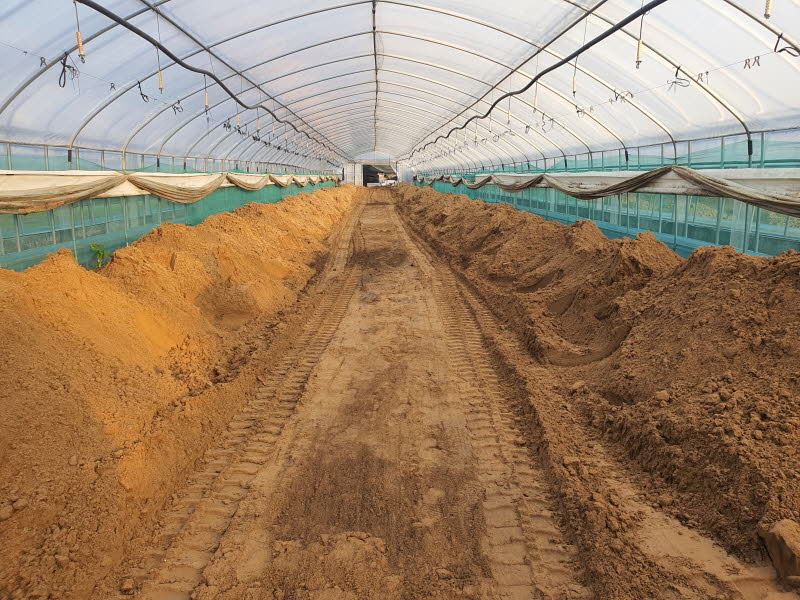 (22. 9. 25)토마토 생산농가 토양개량 객토시범포 현장 모습.jpg