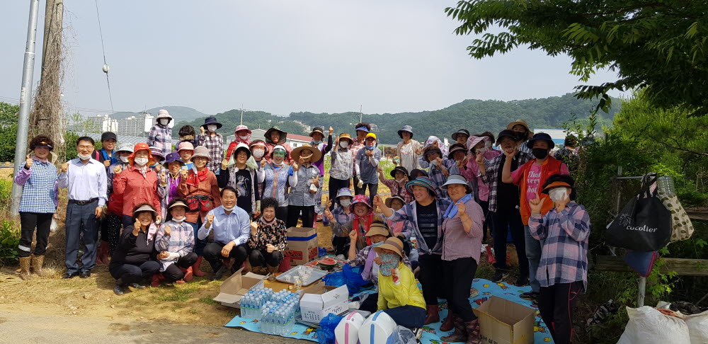 (200616)고향주부부모임 휴경지 콩정식작업 단체기념사진촬영.jpg