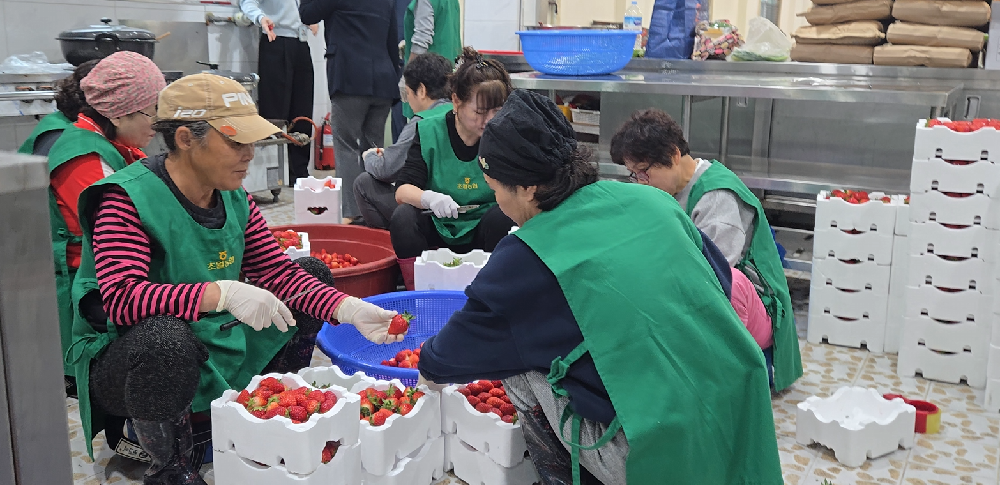 260410 농가주부모임 딸기잼 만들기 ②.png